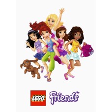 LegoF6 vafa Lego Friends 30x20cm 